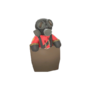 Pocket Pyro